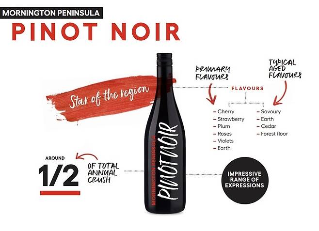 모닝턴 페닌슐라 피노누아 캐릭터.&nbsp;호주와인협회