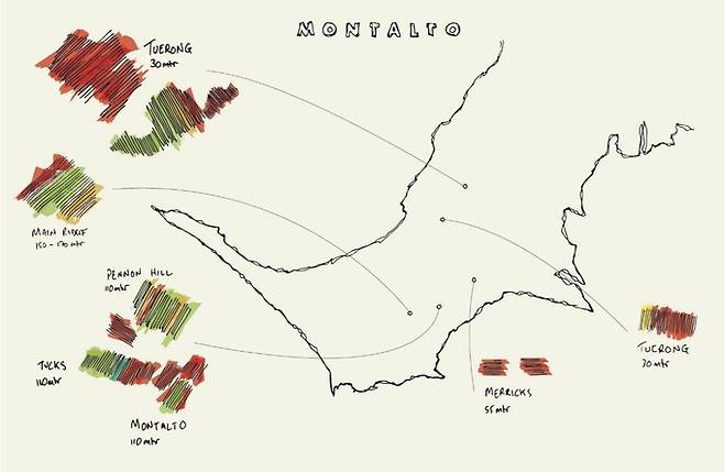 몬탈도 5개 포도밭 위치. 홈페이지&nbsp;