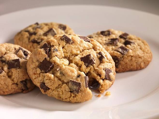 클립아트코리아 제공