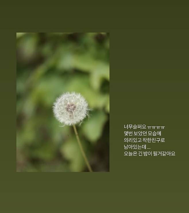 [서울=뉴시스] 피에스타 옐 김새론 추모. (사진 = 인스타그램 캡처) 2025.02.17. photo@newsis.com *재판매 및 DB 금지