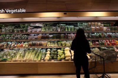 서울 시내 한 대형마트에서 한 시민이 채소를 고르고 있다.(자료사진)