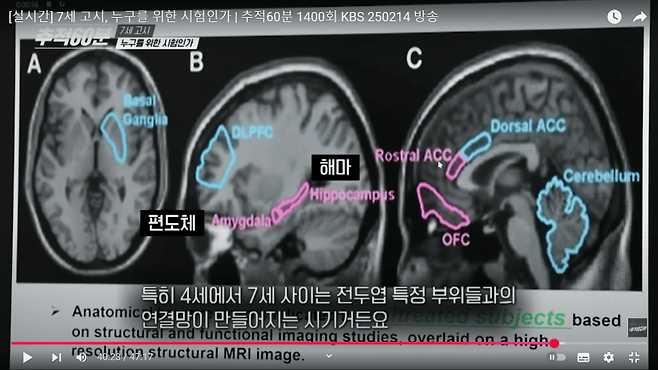 24b0d121e09c28a8699fe8b115ef0468eaabe2b961 영어유치원 못다닌 막내의 근본없는 영어실력