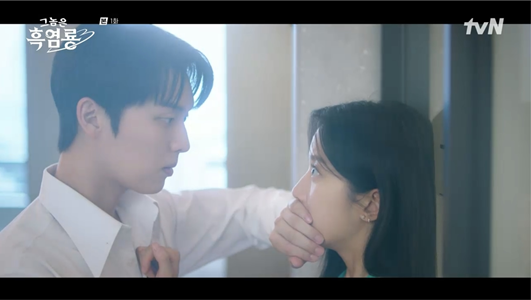 '그놈은 흑염룡'/tvN