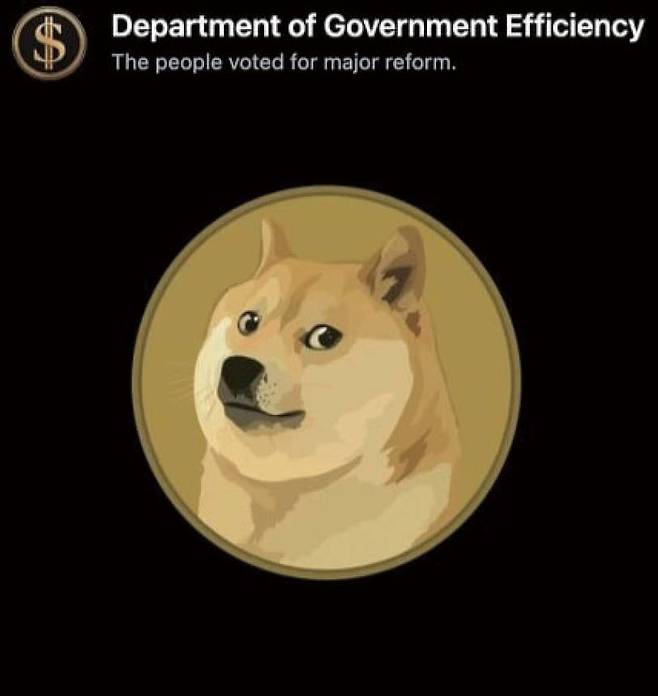 미국 정부효율부 웹사이트에 게시된 도지코인 로고  [출처 DogeDesigner X]