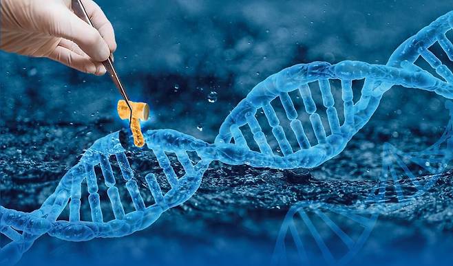 유전자를 교정해 난치병을 치료하는 유전자치료제를 형상화한 이미지./조선DB
