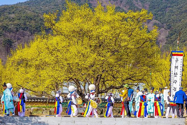 산수유축제 행사