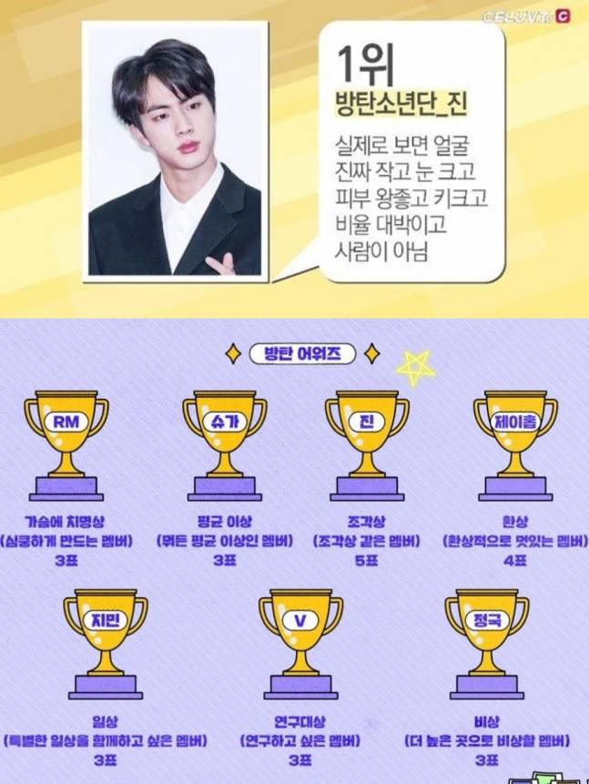 '비주얼 킹' 방탄소년단 진, 2024 올해의 비주얼 1위