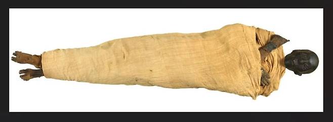 투트모스 2세 미라. 보존상태가 좋지 않다. 사진=이집트 문명 국립 박물관