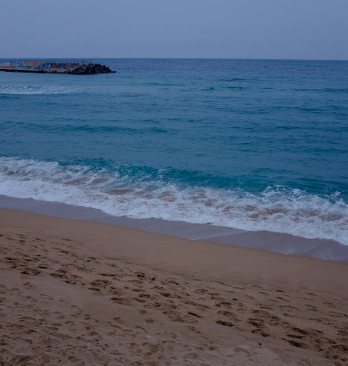 image.png 강원도 고성 돈까스 오마카세