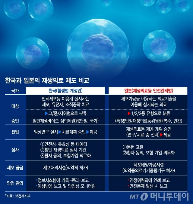 한국과 일본의 재생의료 제도 비교. /그래픽=김지영 디자인기자