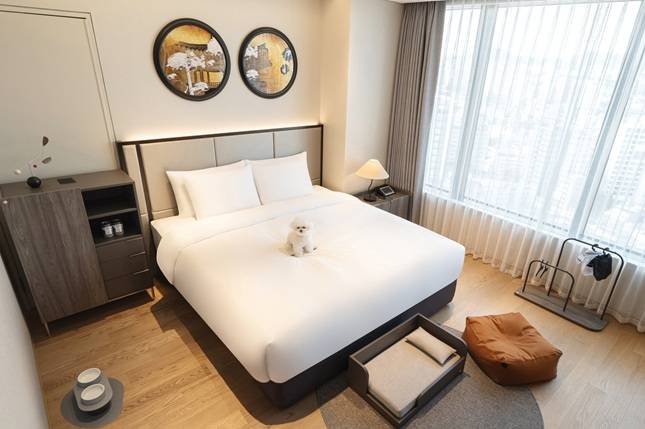 서울드래곤시티 그랜드 머큐어의 펫 룸/사진제공=드래곤시티