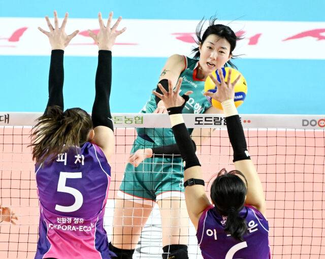 도로공사 강소휘./KOVO