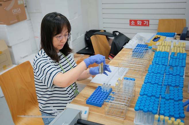 지난 2024년 8월 노동환경건강연구소가 추진한 바이오 모니터링 프로그램 ‘우리가족 실험실’에서 연구원이 시료를 관리하고 있다.[노동환경건강연구소 홈페이지 갈무리]