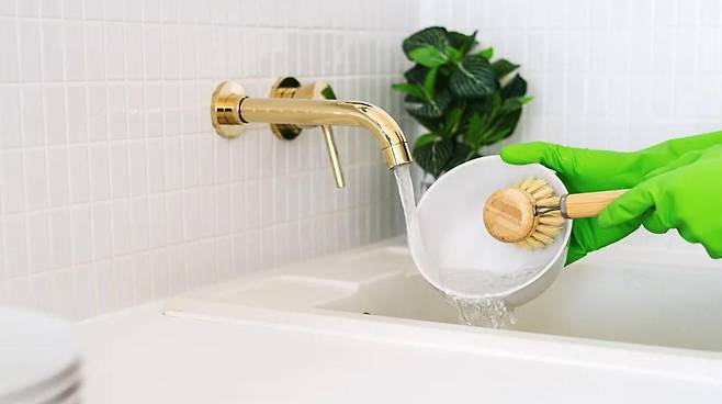 브러시로 설거지를 하는 것이 더 빨리 마르고 미생물 번식 가능성이 적어, 보다 위생적일 수 있다