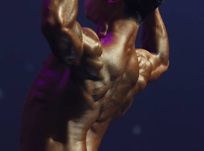 최근 국내외 기업들이 체중은 줄이되 근육 손실을 막는 차세대 비만약 개발에 뛰어들었다. 위고비·젭바운드(한국 제품명 마운자로)가 전 세계 비만약 시장을 양분하고 있지만, 체중 감량과 동시에 지방과 근육이 함께 빠진다는 문제가 그간 계속 제기돼 왔다. 후발주자들은 이를 해결하기 위해 차별화된 신약으로 시장 판도를 바꾸겠다는 계획이다./뉴스1