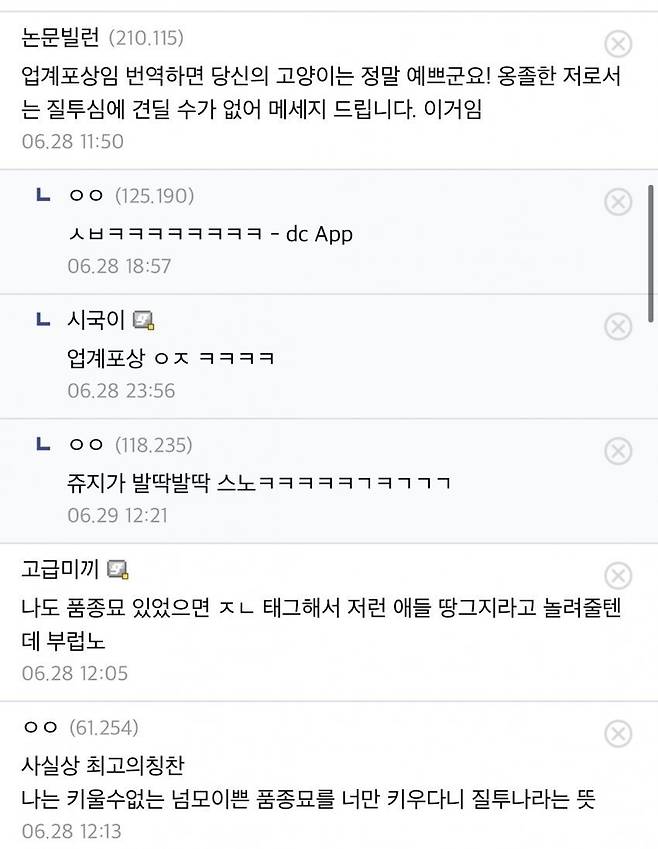 Internet_20250223_015217_2.jpeg 집단지성으로 캣맘 조지는 디시인들ㄷㄷ.jpg