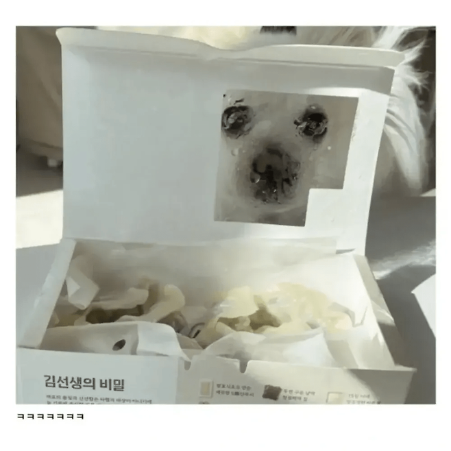 image.png 김밥 포장용기 대참사