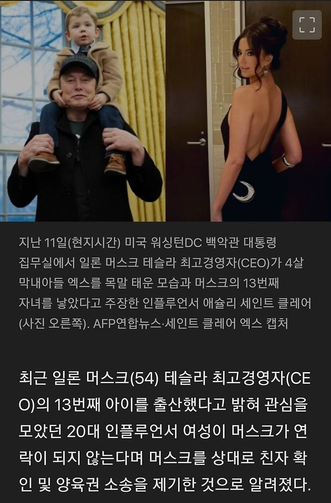 54세’ 머스크 13번째 아이 낳은 20대女 “연락 끊겨 친자 확인 소송”