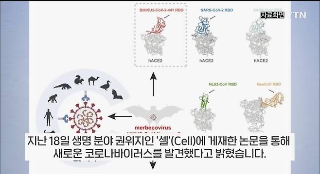 IMG_7936.jpeg 중국 우한서 \'신종 박쥐 코로나바이러스\' 또 발견 ㅎㄷㄷㄷ