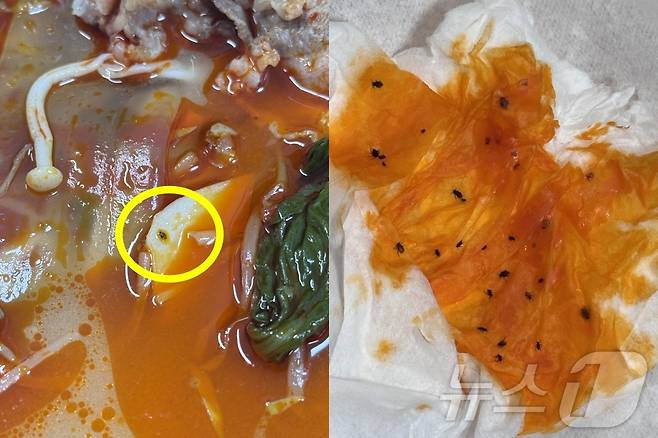 (온라인 커뮤니티 갈무리)