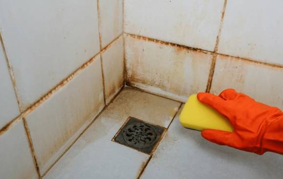 화장실 청소를 할 때 락스 대신 '콜라'를 쓰면 좋다는 내용의 영상이 나왔다. 사진은 본 기사 내용과 무관함. [사진=pmaimperio]