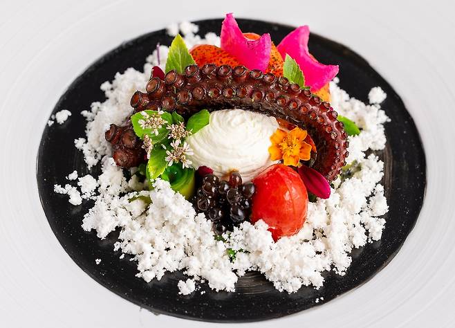 조은주 셰프의 트러플 풍미의 돌문어 랍스터 전채요리. 조은주 셰프 제공