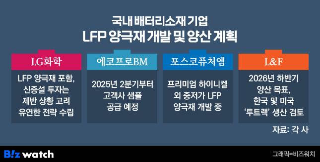 국내 배터리 소재 기업 LFP 양극재 개발 및 양산 계획./그래픽=비즈워치