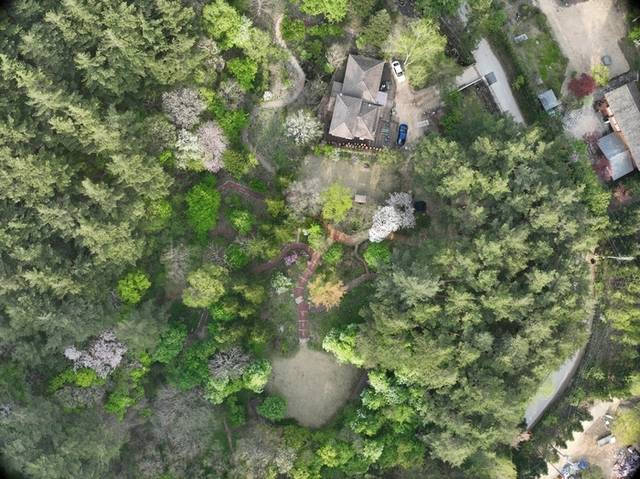 ▲ 한국관광공사는 2025년 1월 가볼만한 곳으로 평창군 국립 한국 자생식물원을 선정했다.