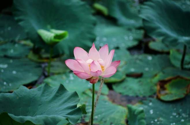 79ea8572b5826bf72095e69236ef203e8829f711df6c337973