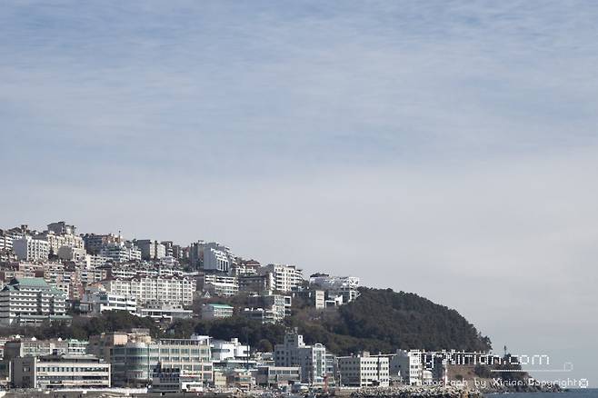 IMG_6800.jpg 부산 그랜드 조선 아리아 뷔페