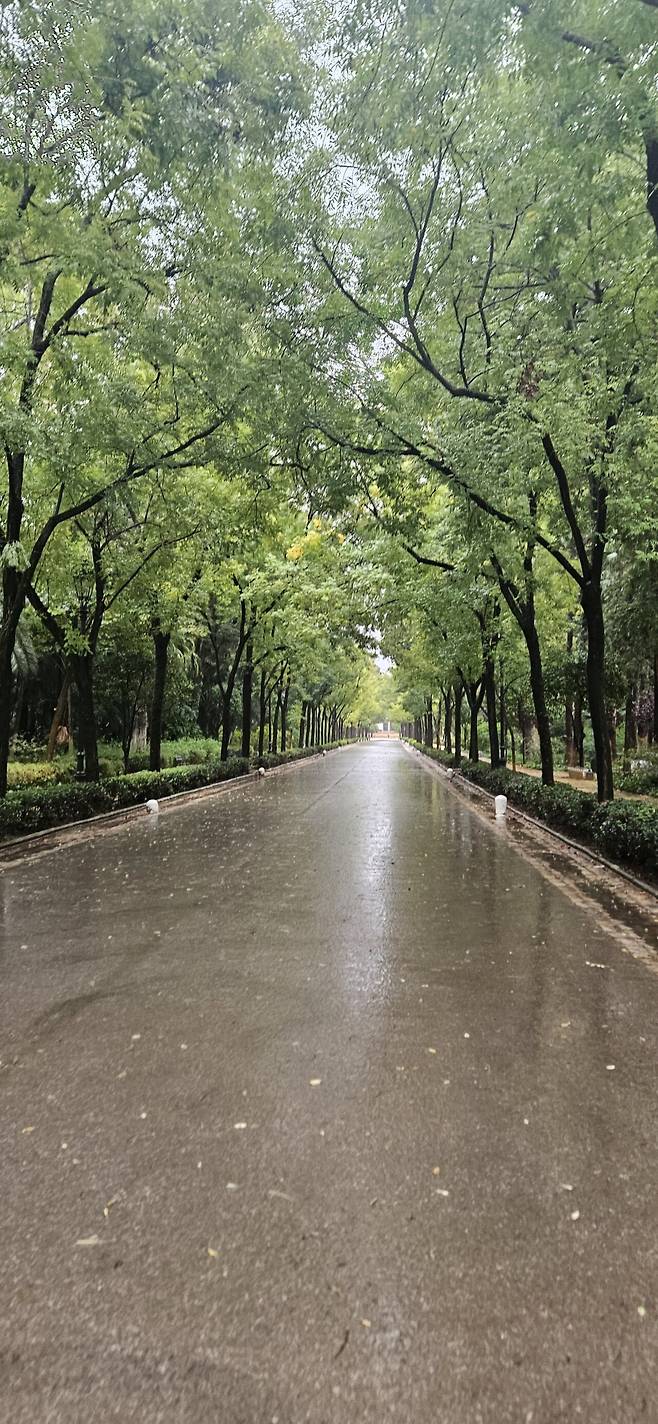 1000000816.jpg 첫여행을 스페인 자유여행