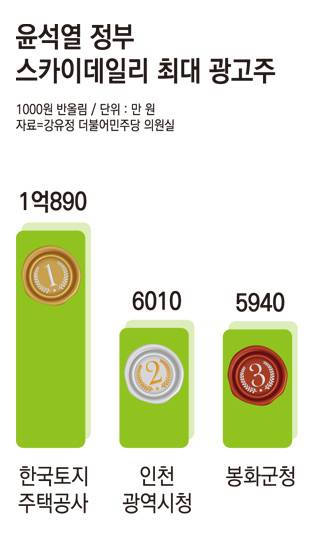 ▲스카이데일리 주요 광고주 순위. 그래픽=안혜나 기자