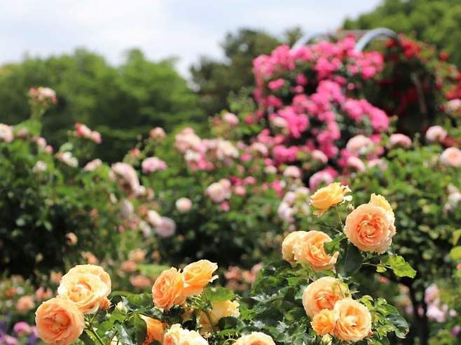 7cee8373b6846af43ae980e61781746d3eb660c3dd04da354f30d88fbe30b043e336f04166a287