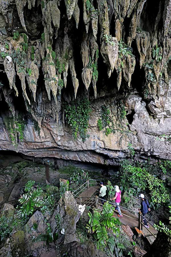클리어워터 동굴 입구. 천장에 달린 종유석의 모양이 이채롭다.