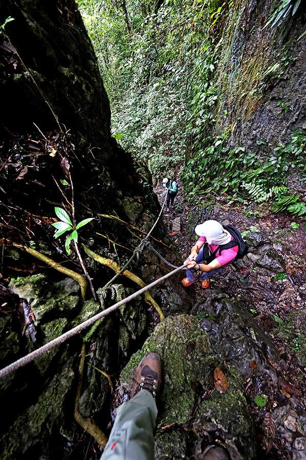 피너클을 보러 가기 위한 길이 꽤 험난했다. 밧줄을 타고 절벽을 타거나 경사도가 상당히 급한 등산로를 기어오르다시피 했다.
