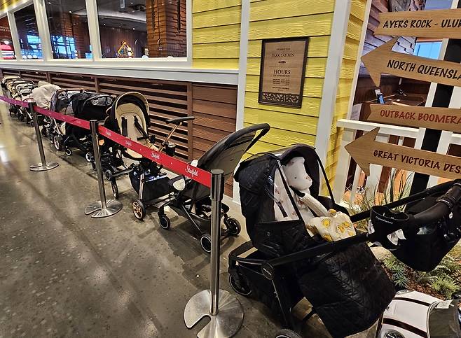 지난 24일 경기 고양시 동산동에 위치한 아웃백 스테이크하우스&nbsp;고양 스타필드점 앞에 유아차들이 줄지어 서있다.