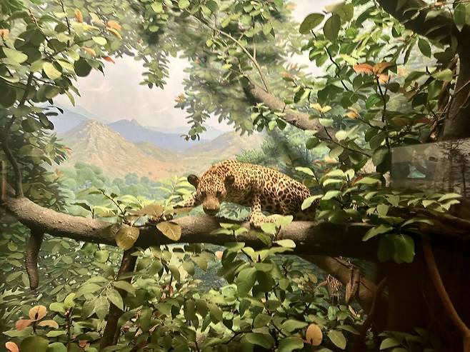 KakaoTalk_20250228_234930796.jpg [여행기]44일간 미국여행 28 / 시카고