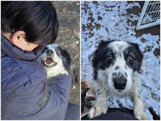 황동열 팅커벨프로젝트 대표 품에 안겨 있는 귀남이(왼쪽). 귀남이는 사람을 무척 좋아한다. 팅커벨프로젝트 제공