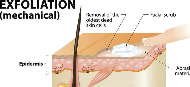사진= 게티이미지뱅크&nbsp;