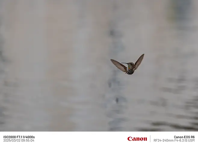 7fe88075b58075f73af1c1b014c10403820acab49a0ebfa7466f9a