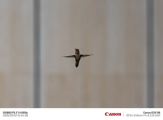 7fe88075b58075f438f1c1b014c10403a1b7f8cbbe0e14dee9e41c