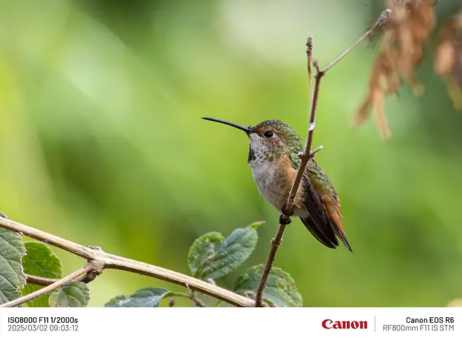 7fe88075b58075f420a8d3b706f11a39f58b395c1ac3a8222c9c