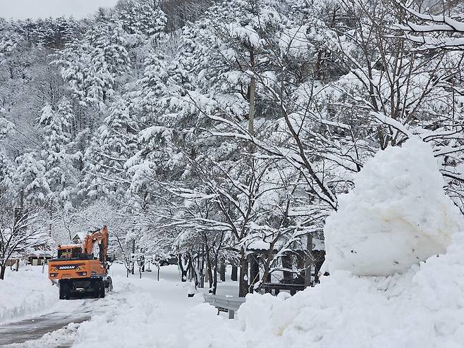 3일 강원 대부분 지역에 폭설이 내린 가운데 강릉시 부연동 휴양지에서 중장비가 제설 작업을 하고 있다. ⓒ연합뉴스