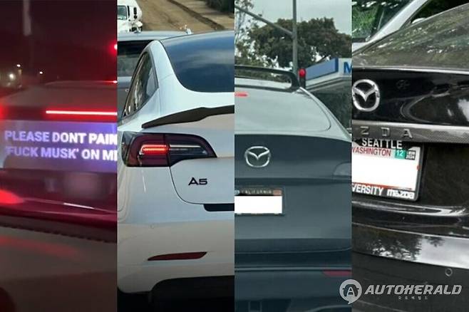 테슬라 차주들의 타브랜드 엠블럼 튜닝이 확신되고 있다(X Stonk King)