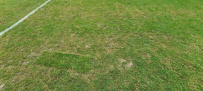 3일 서울월드컵경기장에서 열린 서울과 김천의 하나은행 K리그1 2025 3라운드 뒤 그라운드 상태. 경기장 곳곳에 패인 잔디가 눈에 띄었다. 상암=김우중 기자