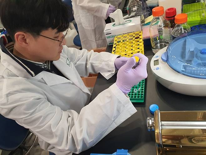 박지환 연구원이 단백질 정량을 확인하고 있다. 윤현주 기자