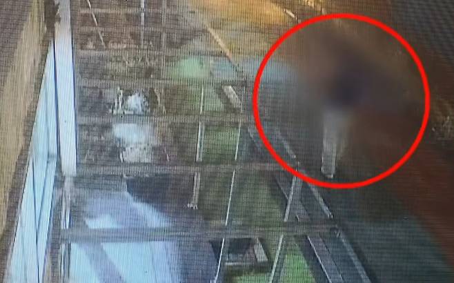 지난 2일 밤&nbsp;충남 서천군&nbsp;서천읍 사곡리의 한 도로에서 우산을 쓰고 걸어가는 40대 여성의 모습이 담긴&nbsp;폐쇄회로(CC)TV 영상. 채널A 보도화면 캡처