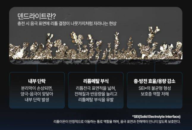 리튬메탈 배터리에서 발생하는 덴드라이트 현상. / LG에너지솔루션 블로그 캡처