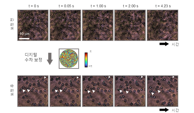 연구팀은 마이크로미터 크기의 입자 움직임을 정밀하게 분석할 수 있도록 움직이는 시료에서 발생하는 수차를 보정했다. KAIST 제공.