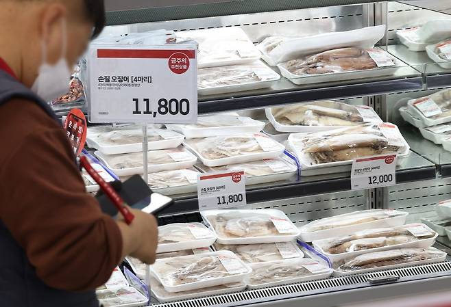 지난 3일 서울 한 대형마트에 오징어가 진열돼 있는 모습. 연합뉴스